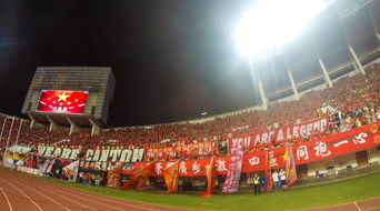 九游体育官网入口-“运动舞蹈：金牛区城北体育馆让你看到的不仅仅是舞蹈，更是灵魂与身体的交响”  第3张